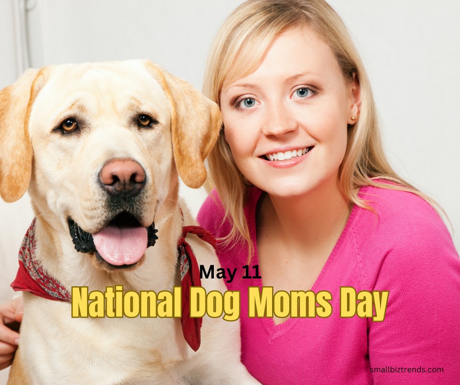 Responsible pet care education
